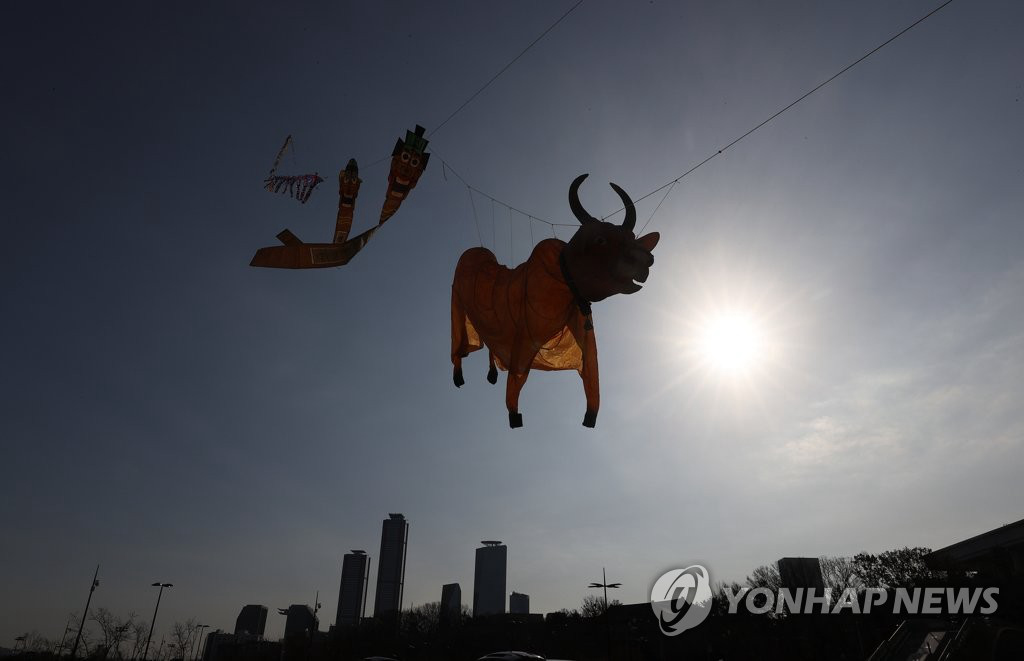 韓國民眾放飛大型黃牛風箏 祈願祛除新冠疫情【7】