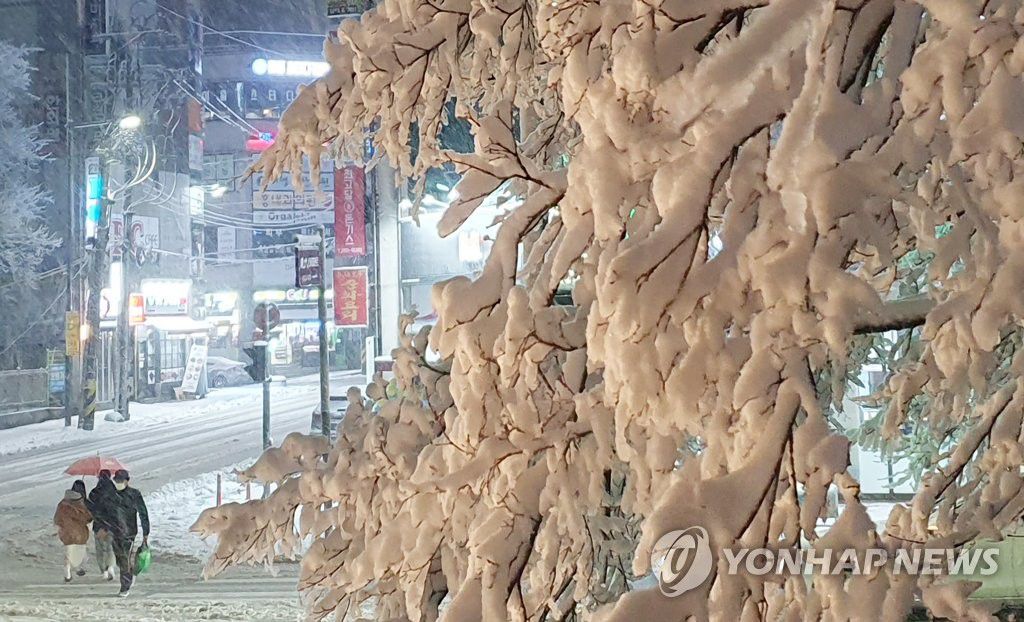 3月1日下午，在江原道春川市，市民們在雪中小心翼翼地行走。當天江原道發布大雪預警。圖源：韓聯社