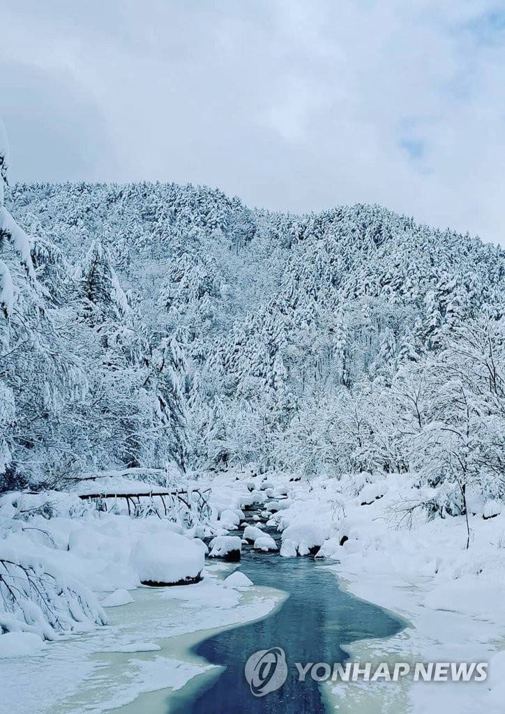 圖為江原道江陵市五台山國立公園一帶被皚皚白雪覆蓋，攝於3月2日。圖源：韓聯社