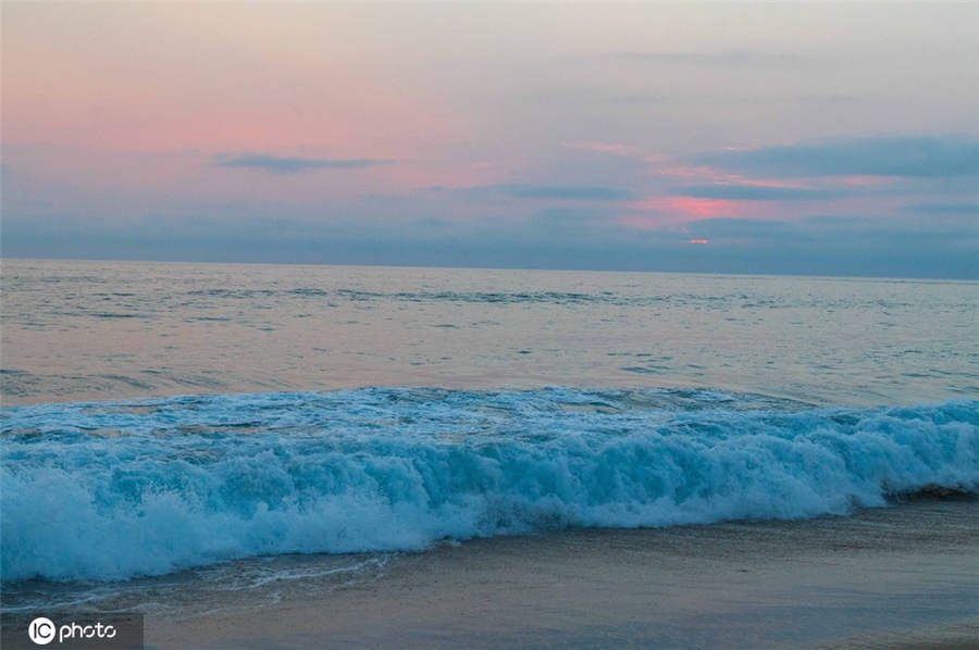 美國海浪層疊起伏 粉色晚霞美如畫