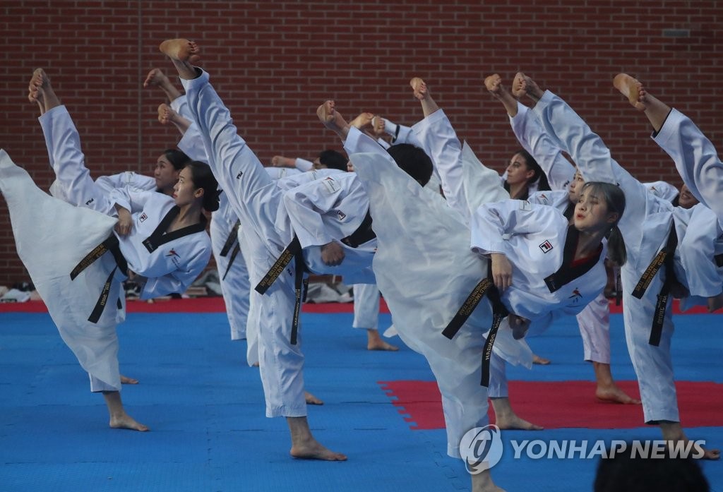 【圖】世界跆拳道和平慶典在首爾舉行【4】