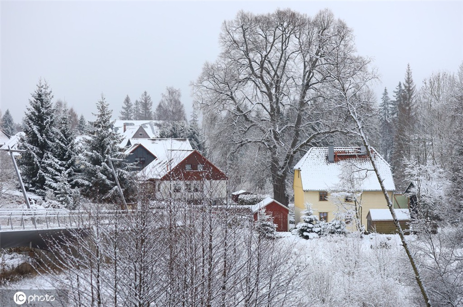 德國哈茨山區遇降雪 銀裝素裹美如畫