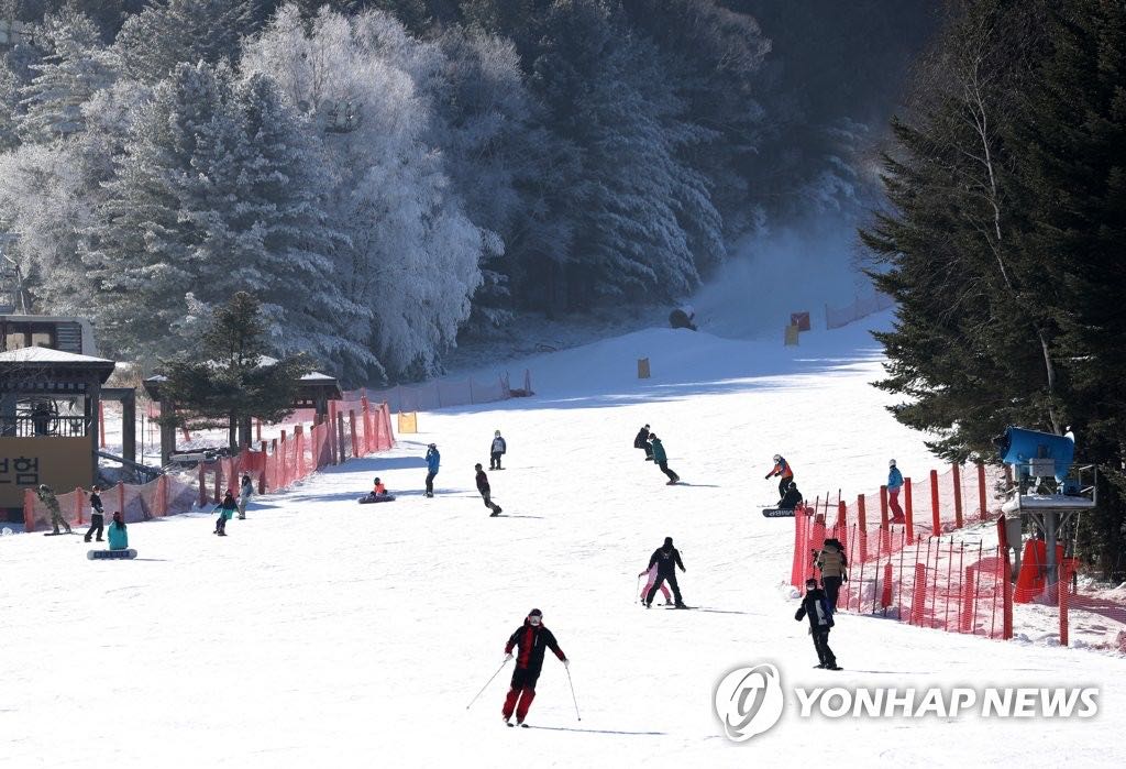 【圖】馳騁雪原！韓國滑雪場開業第一周人氣火爆【2】