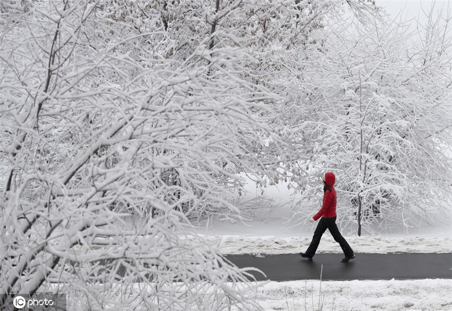 俄羅斯莫斯科雪景美如畫 宛如白色童話