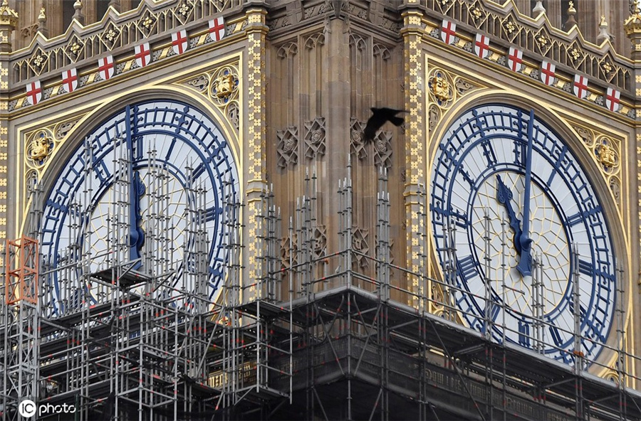 英国大本钟翻新工程即将完工
