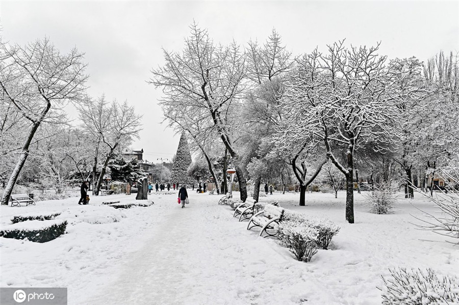 乌克兰迎来降雪 宛如白色童话世界