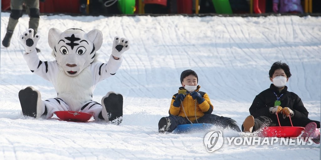 【組圖】韓國：滑著雪橇過新年【2】