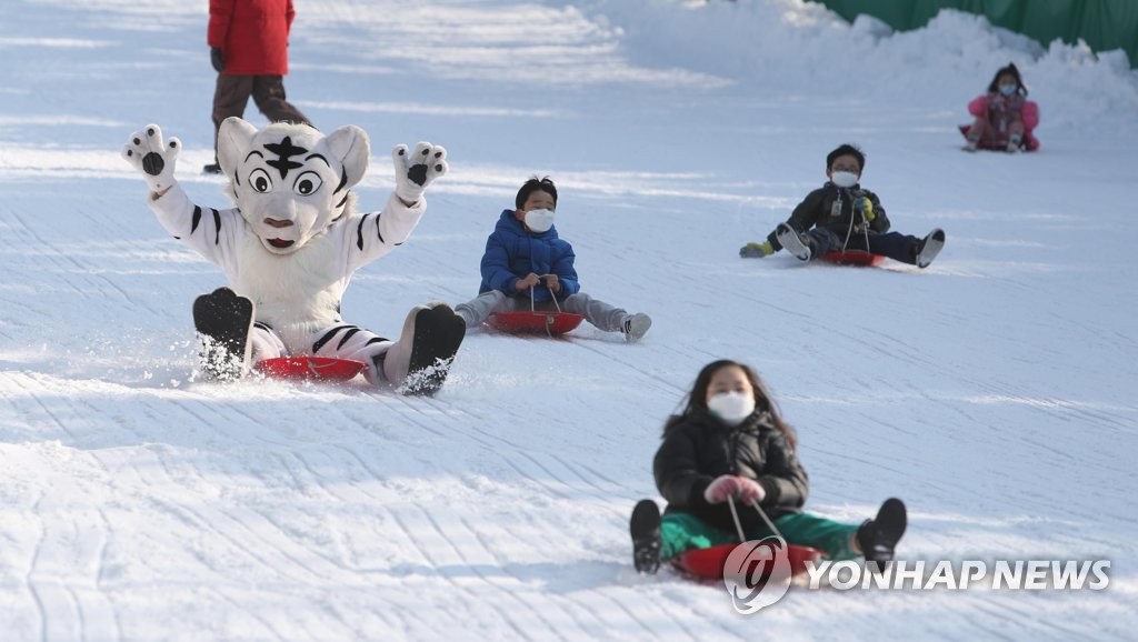 【組圖】韓國：滑著雪橇過新年【5】