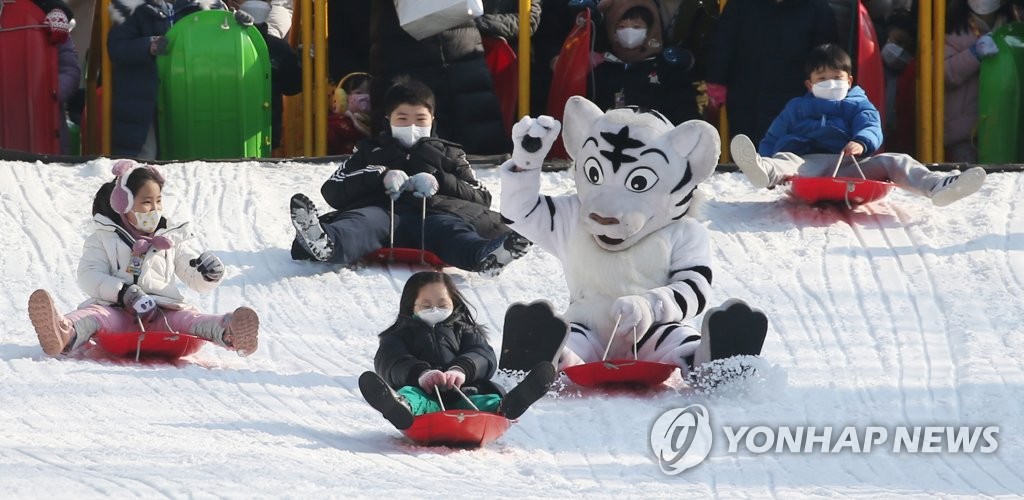 【組圖】韓國：滑著雪橇過新年【4】