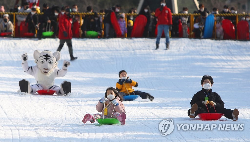 【組圖】韓國：滑著雪橇過新年【7】
