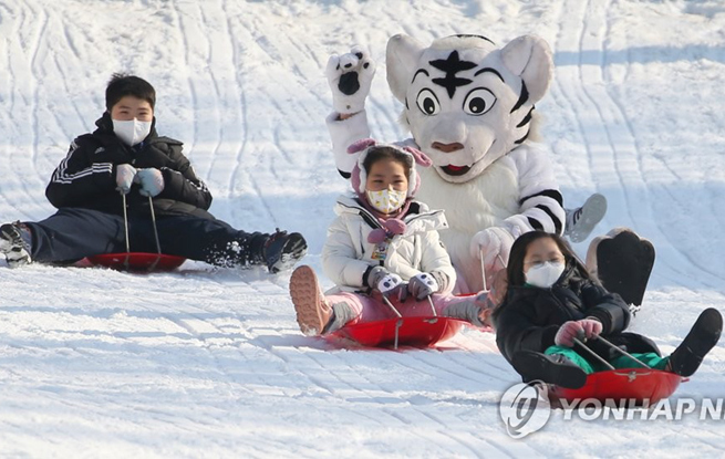 【组图】韩国：滑着雪橇过新年