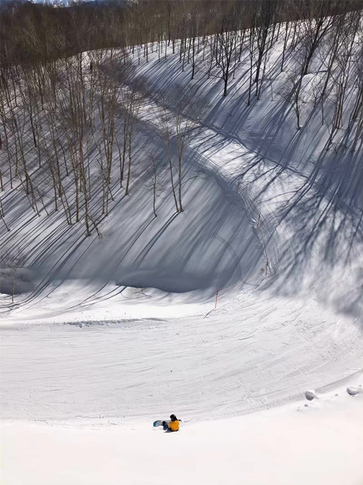 除了滑雪 日本這些運動體驗不容錯過