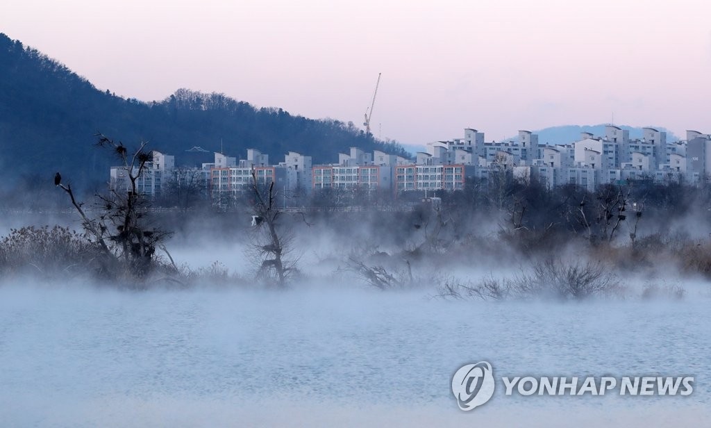 【组图】韩国：寒潮下的别样美景