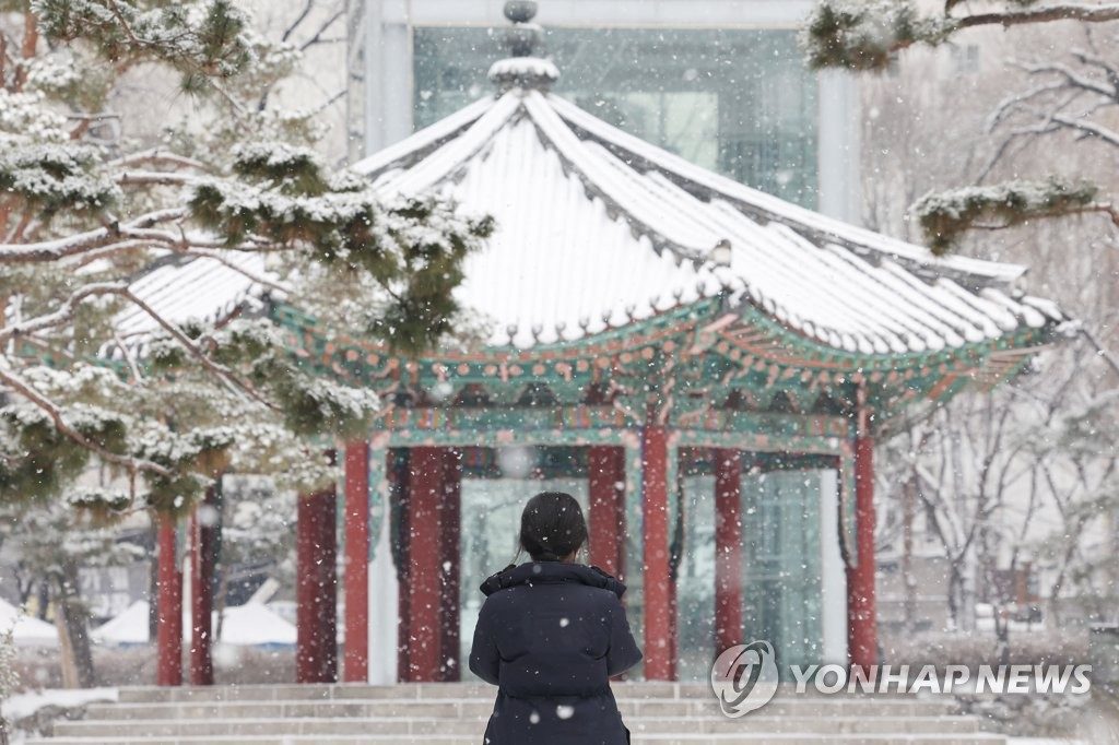 19日，首尔市钟路区塔谷公园下起了鹅毛大雪。