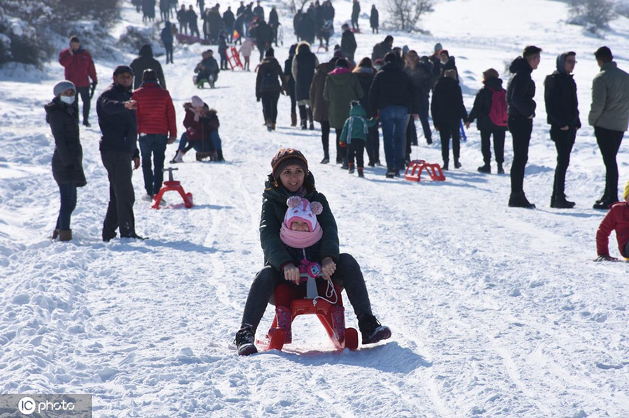 土耳其举办雪橇节 民众乐享雪上运动创意十足