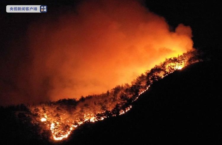 韩国庆尚南道发生山火 过火面积达200公顷
