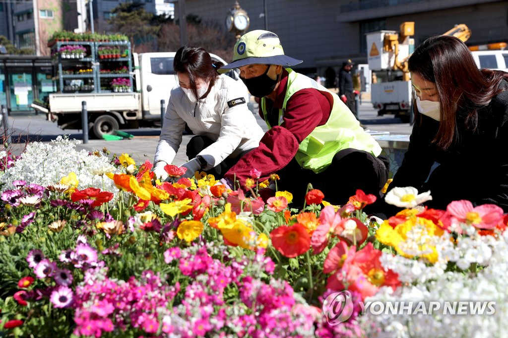 3月2日上午，首尔市城东区往十里广场上，工作人员正在布置花坛。