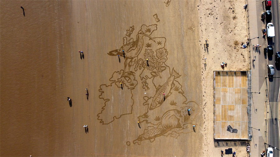 英國斯卡伯勒海灘上現巨型沙畫 引導年輕人關注野生動物