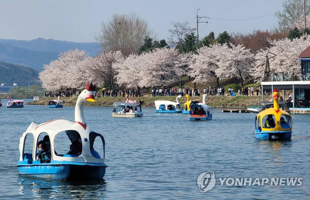 10日，在韓國江原春川市孔之川，游客們正在乘坐鴨子船。