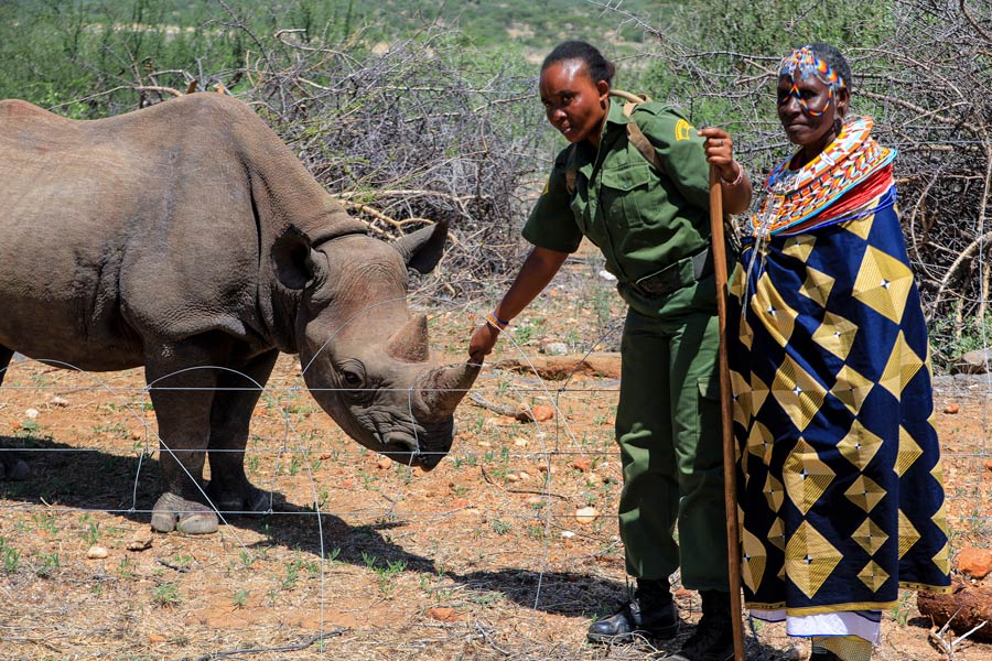 肯尼亞積極促進野生動物保護工作