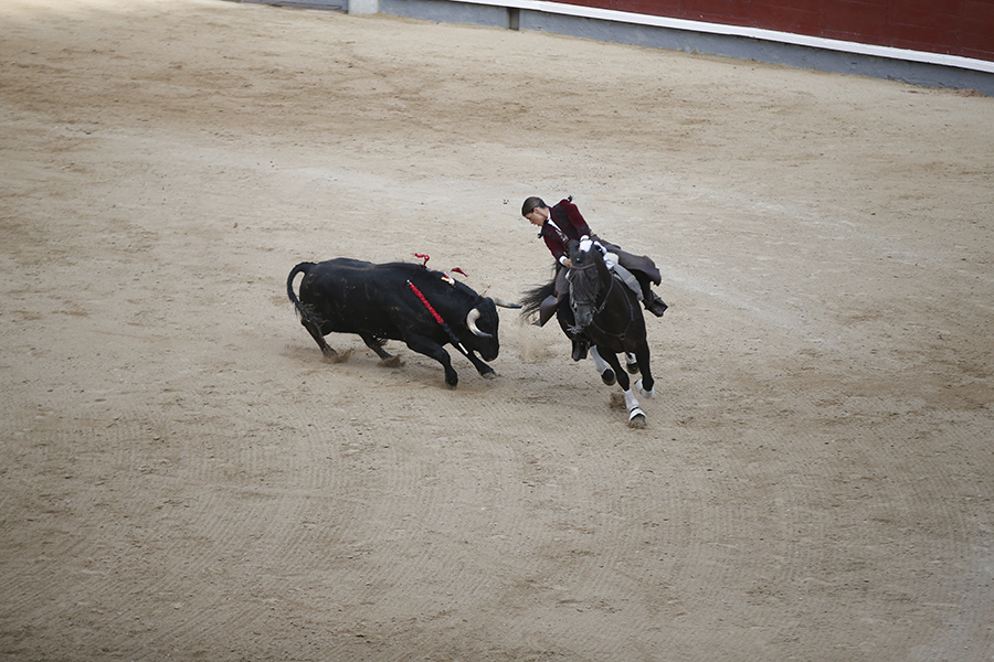 西班牙马德里斗牛表演 精彩绝伦