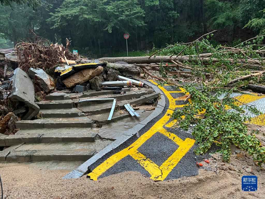 这是8月9日在韩国首尔大学拍摄的因遭遇强降雨而倒下的树木和受损道路（手机拍摄）。