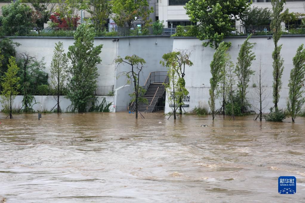 8月9日，受强降雨影响，韩国首尔汉江水位上涨，岸边树木和楼梯被淹。