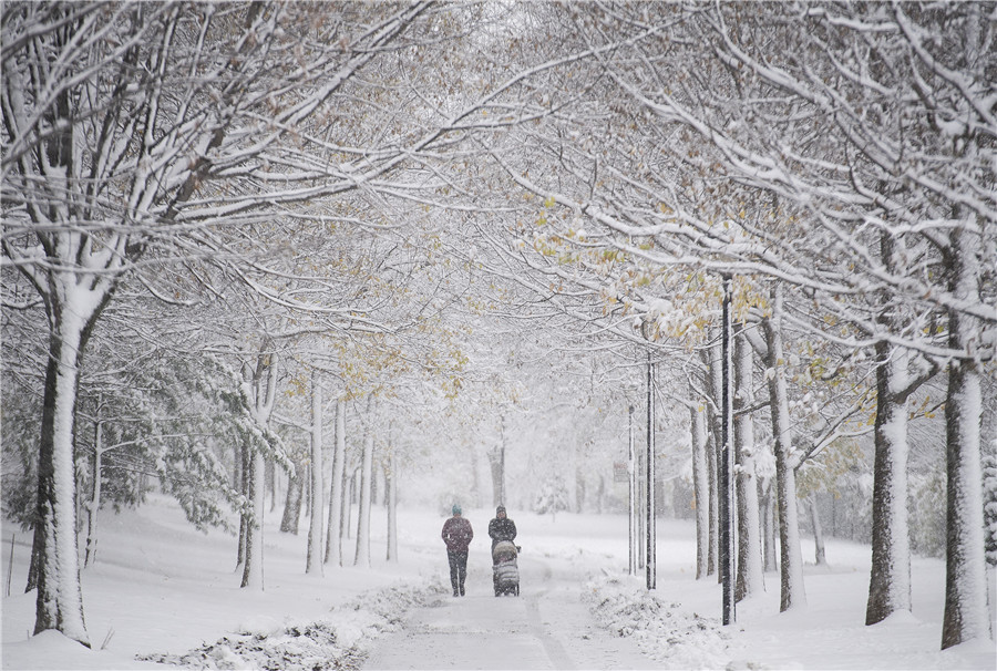 加拿大蒙特利爾迎來強降雪 城市銀裝素裹變白色童話世界
