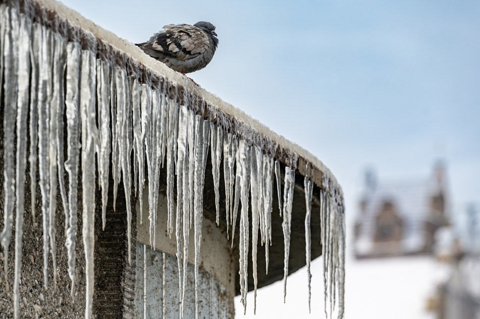 德國巴伐利亞蘭茨胡特冬季寒冷 小城被冰雪覆蓋