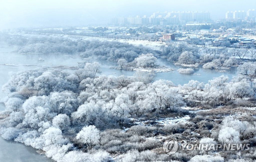 【組圖】韓國冬季霧凇景觀美不勝收【5】