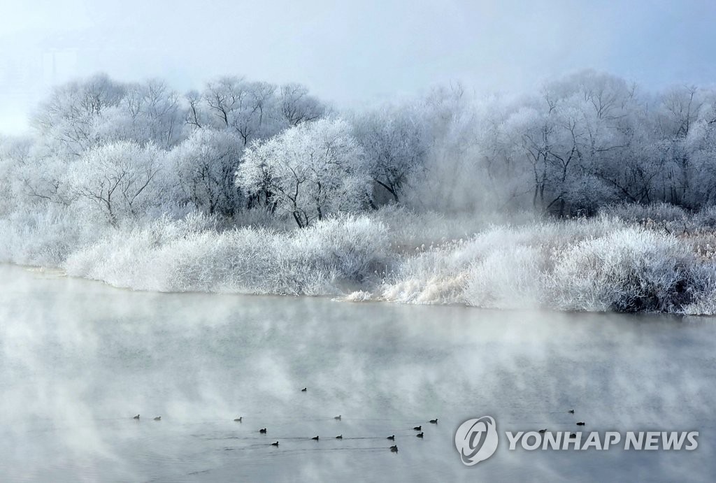 【組圖】韓國冬季霧凇景觀美不勝收