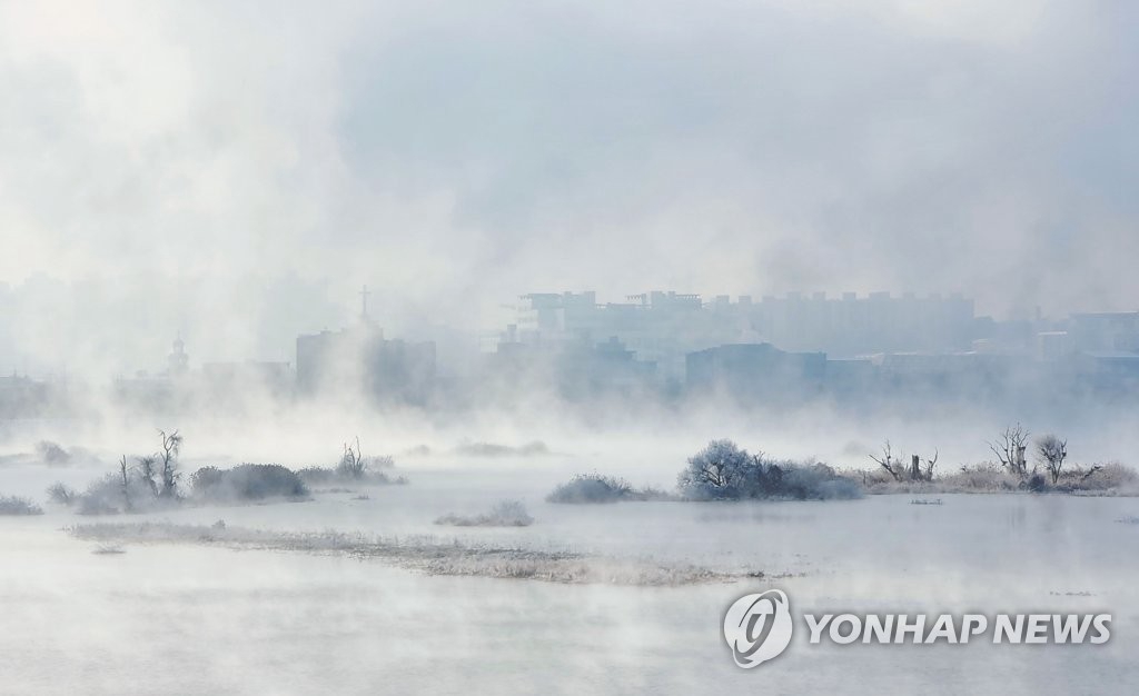 【组图】韩国冬季雾凇景观美不胜收【3】