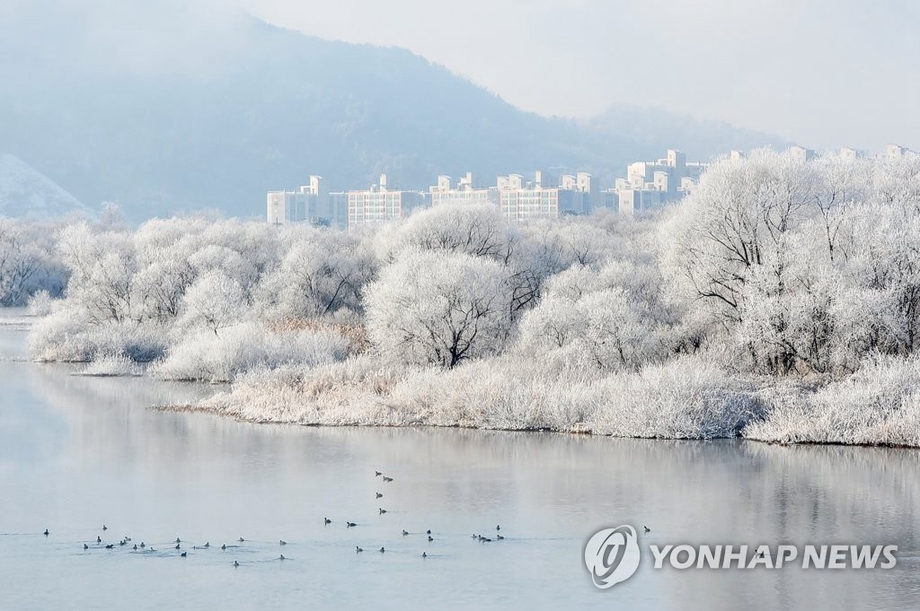 【组图】韩国冬季雾凇景观美不胜收【6】