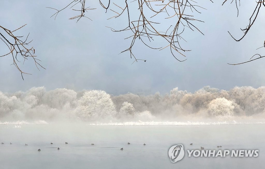 【組圖】韓國冬季霧凇景觀美不勝收【7】