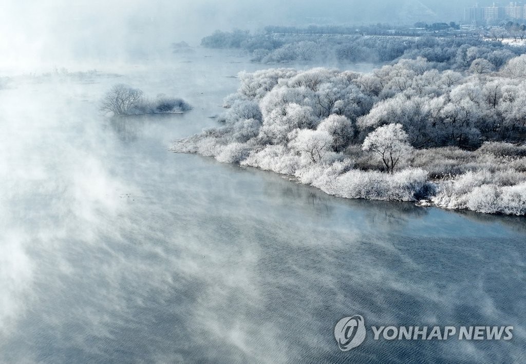 【组图】韩国冬季雾凇景观美不胜收【8】