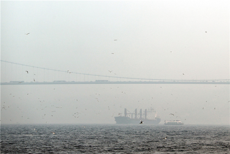 土耳其伊斯坦布尔晨雾缭绕