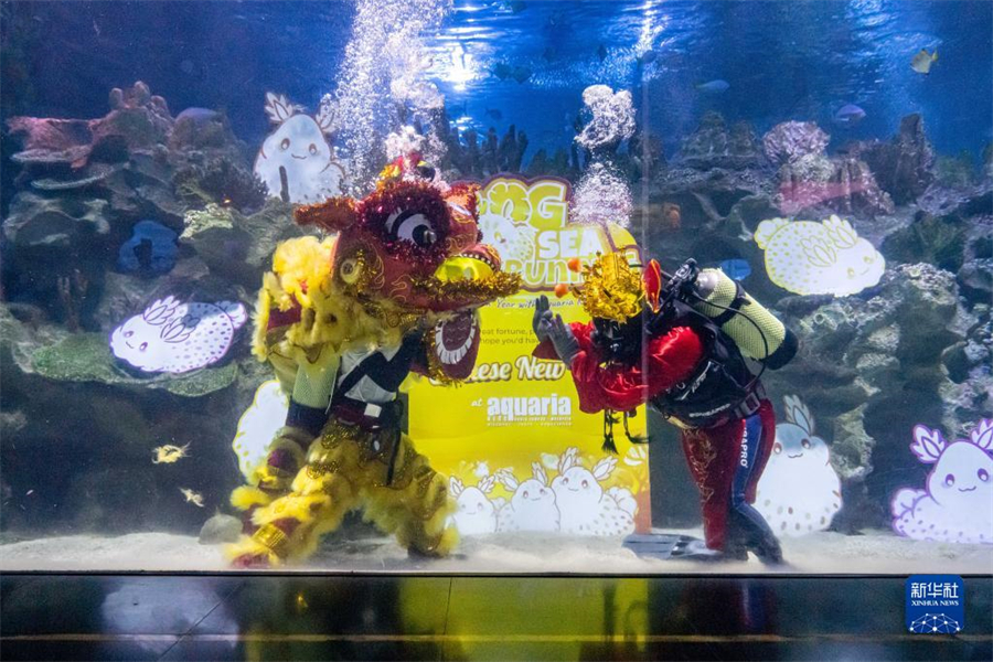 吉隆坡：水族館裡賀新年