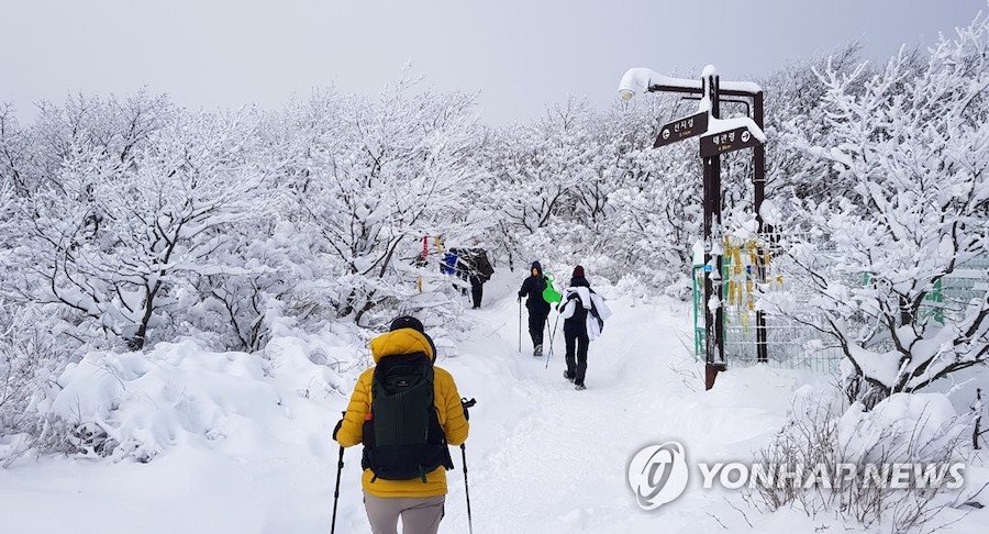 16日，韓國白頭大干山脈仙子嶺一帶，游客們踏雪登山，暢游如畫美景。