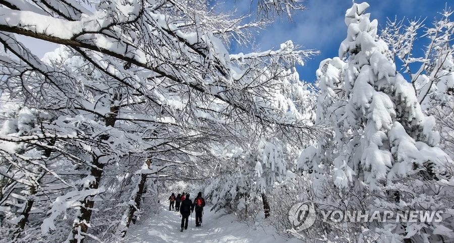 16日，韓國白頭大干山脈大關嶺一帶，游客們踏雪登山，暢游如畫美景。