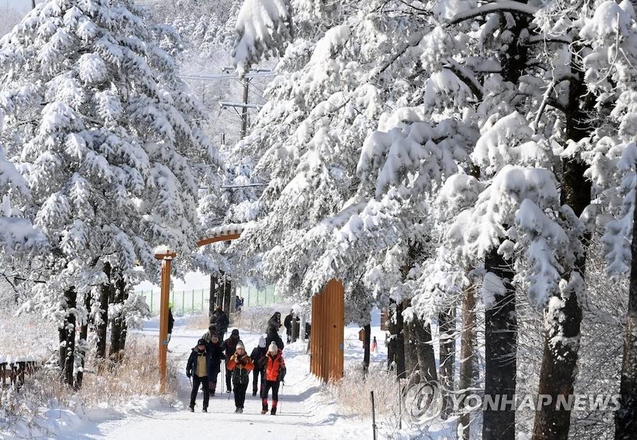16日，韓國白頭大干山脈大關嶺一帶，游客們踏雪登山，暢游如畫美景。
