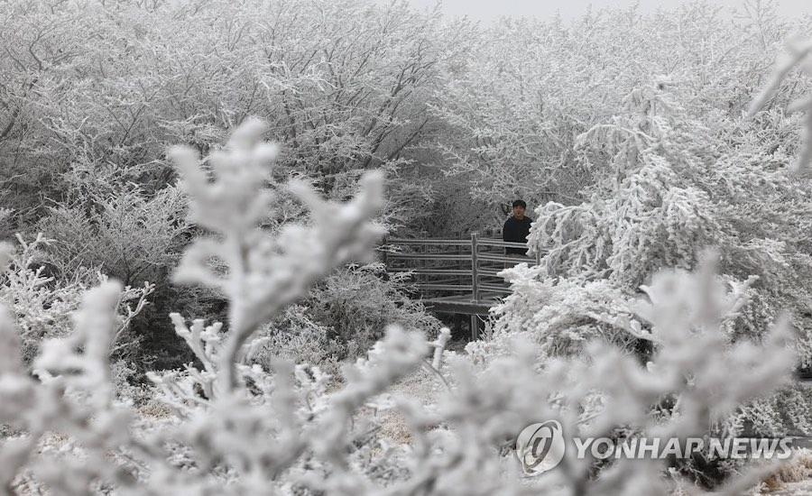 16日上午，游客們來到韓國濟州島漢拿山1100高地欣賞雪景。
