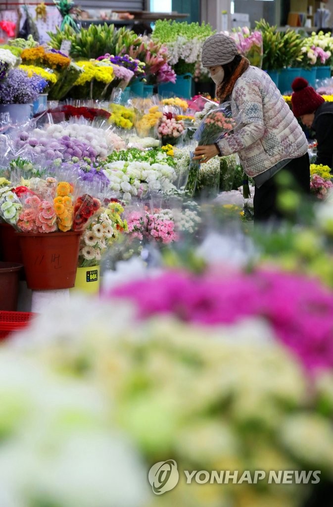 【組圖】韓國畢業季花卉市場人氣旺【6】