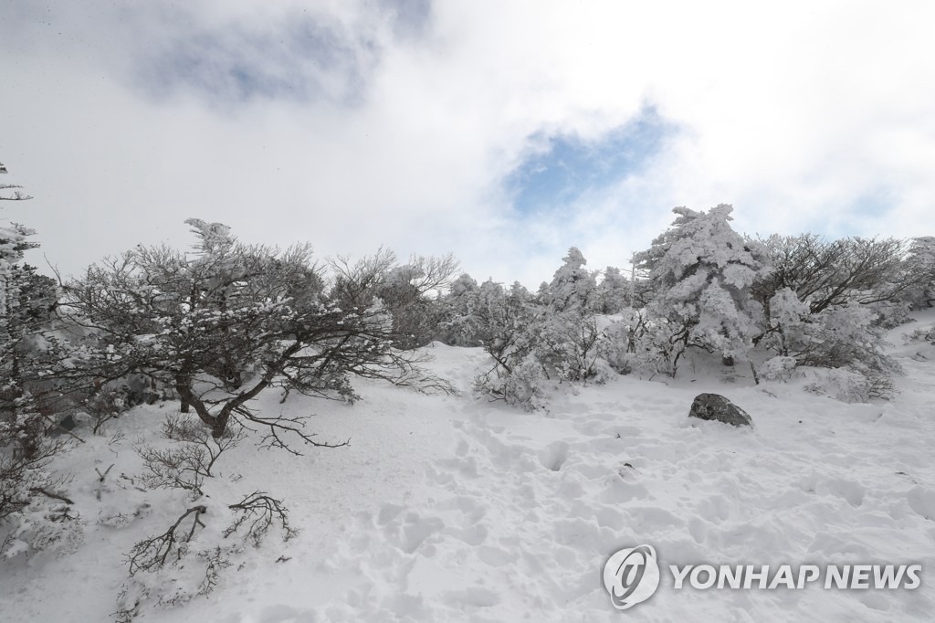 【組圖】韓國漢拿山雪景【8】