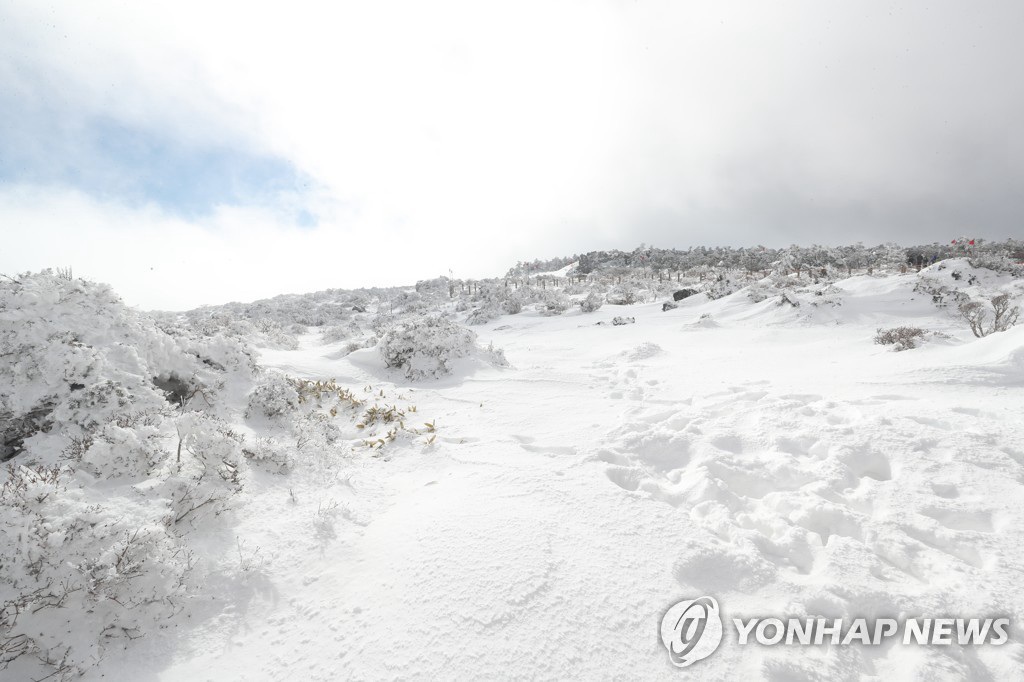 【組圖】韓國漢拿山雪景【9】