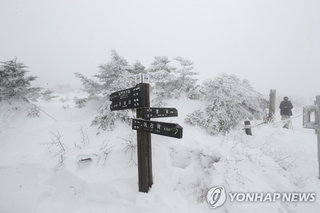 【組圖】韓國漢拿山雪景【10】