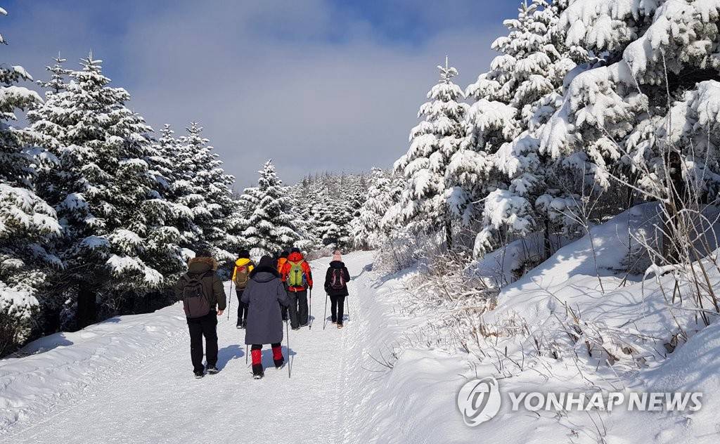 16日，在江原道平昌郡大关岭，不少游客慕名前来踏雪游玩。