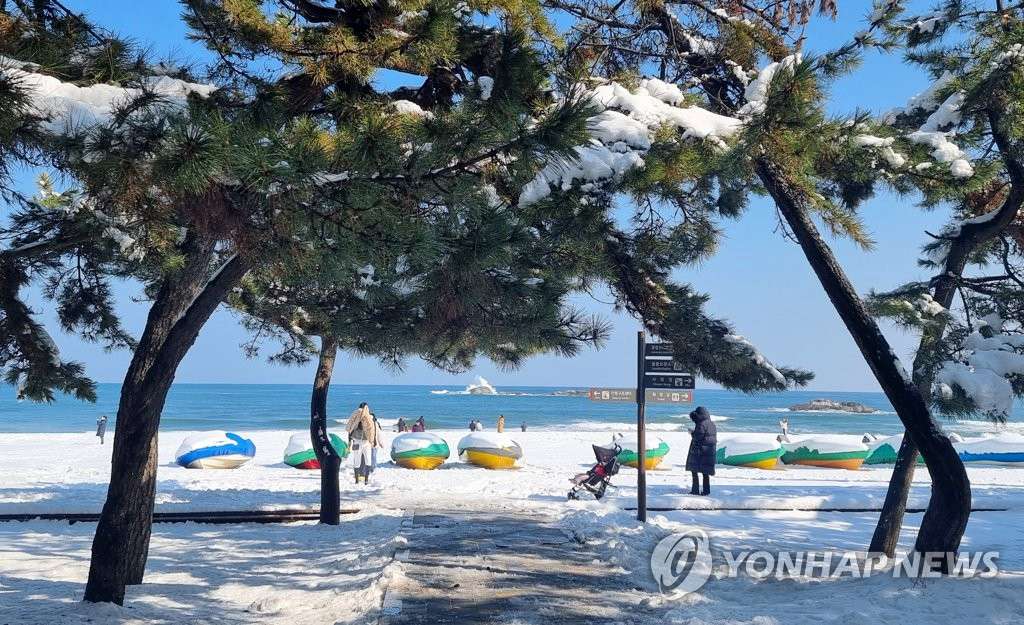 16日，在江原道江陵市，鏡浦海水浴場海灘上鋪著厚厚的雪毯，風景別具特色、美不勝收。