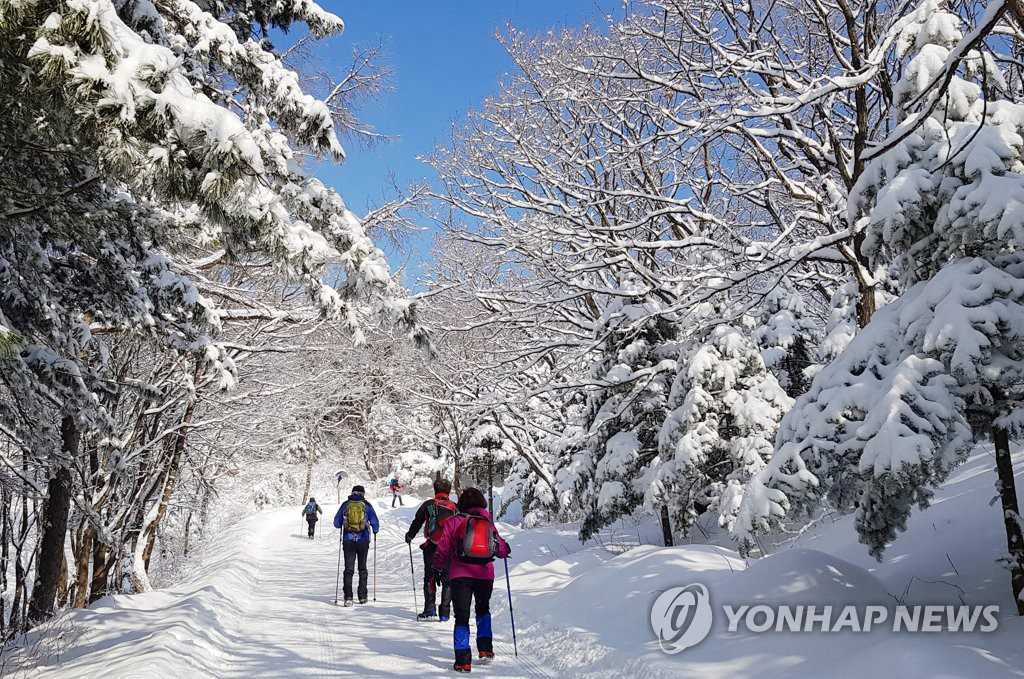 16日，在江原道平昌郡大關嶺，不少游客慕名前來踏雪游玩。