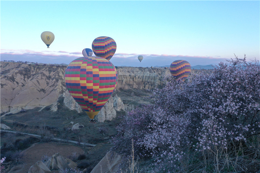 与花朵“共舞” 土耳其热气球五彩缤纷浪漫升空