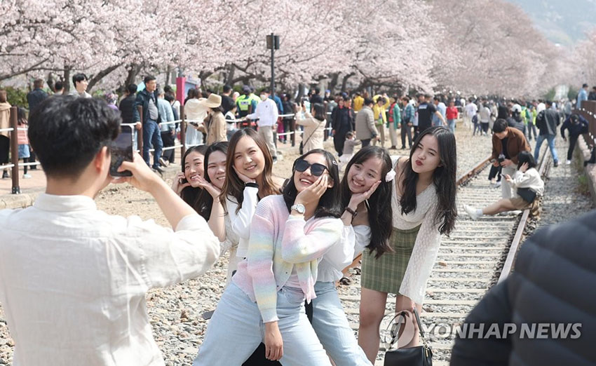 26日上午，在慶尚南道昌原市鎮海區慶和站公園內，游客們以盛開的櫻花為背景拍照打卡，留下春日回憶。